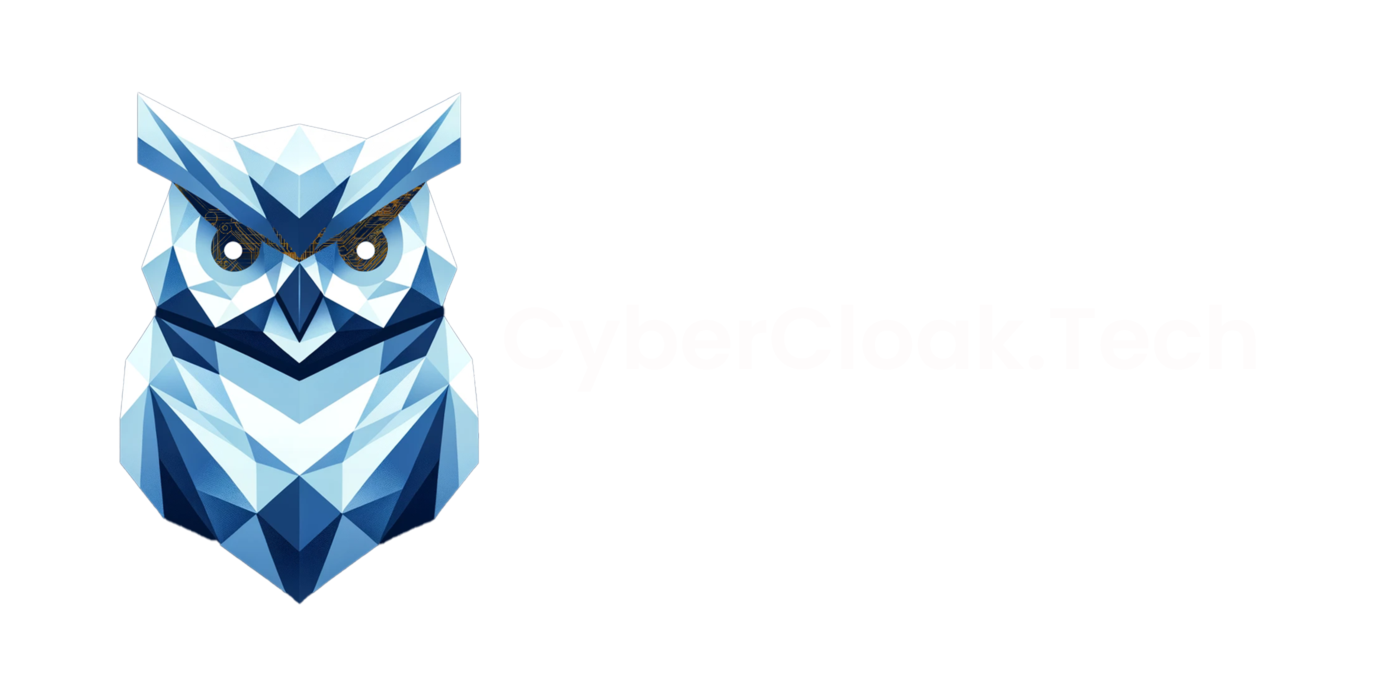 CyberCloak.Tech cybersecurity and fractional CIO services